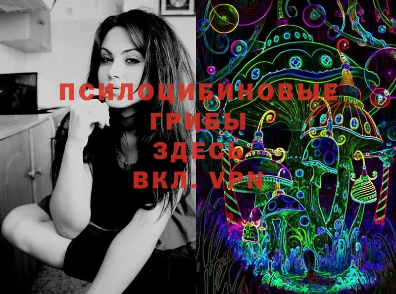 hydra зеркало  Ветлуга  Псилоцибиновые грибы Psilocybe 